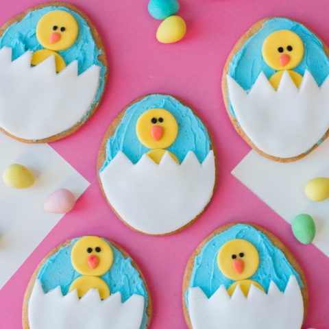 chick-egg-cookies-DSC_0311-480x480